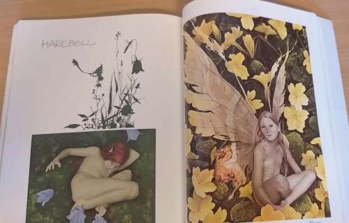 Faeries by Alan Lee and Brian Froud (Paperback)