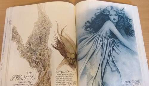 Faeries by Alan Lee and Brian Froud (Paperback)