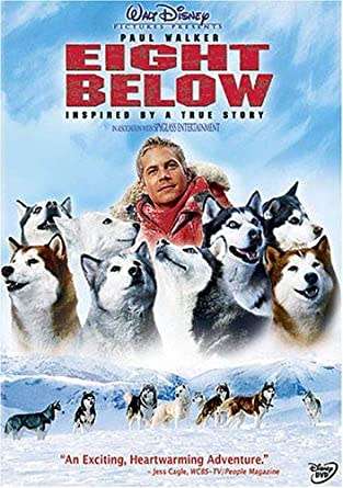 Eight Below - Dvd (Paul Walker)