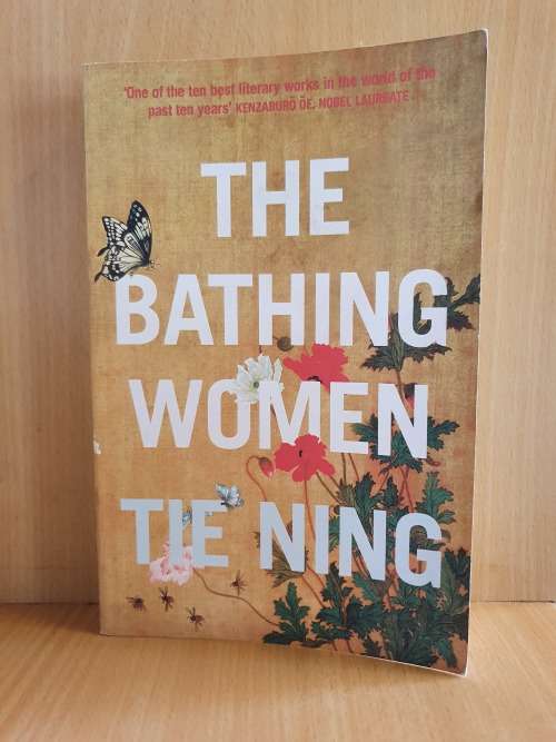 The Bathing Women : Tie Ning (Paperback)