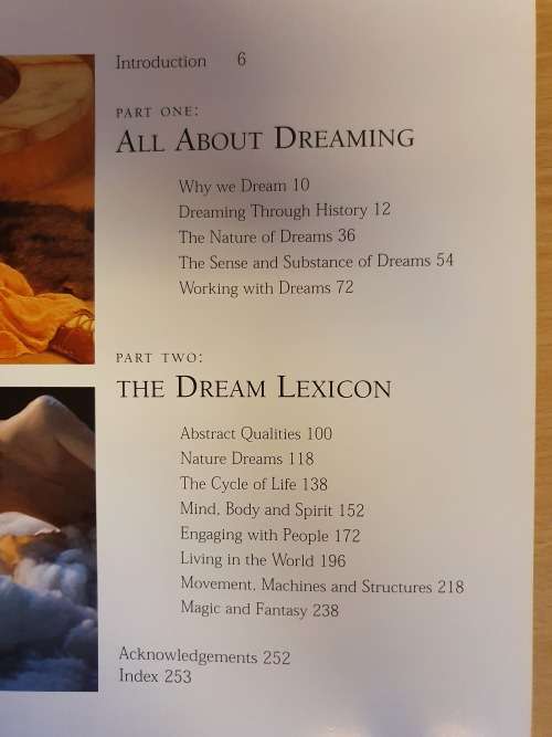 The Dictionary of Dreams and their Meanings : Richard Craze (Paperback)