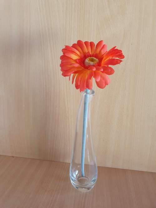 Glass Vase (4 available @ R60 each)
