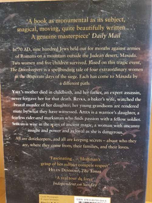 The Dovekeepers : Alice Hoffman (Paperback)
