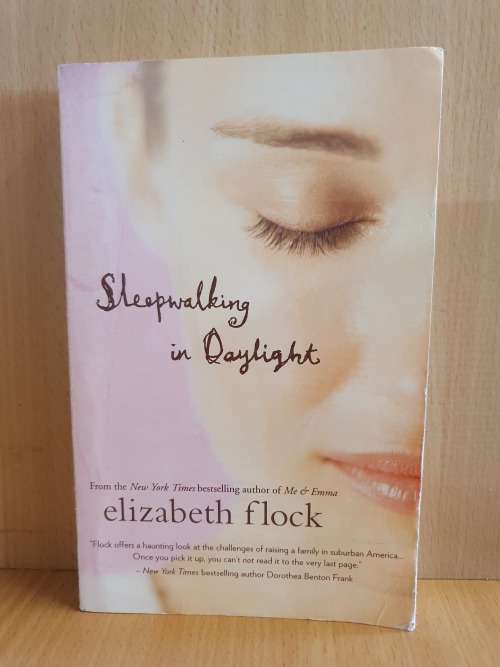 Sleepwalking in Daylight : Elizabeth Flock (Paperback)