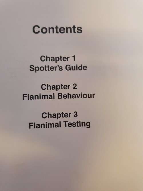 Flanimals : Ricky Gervais (Hardcover)
