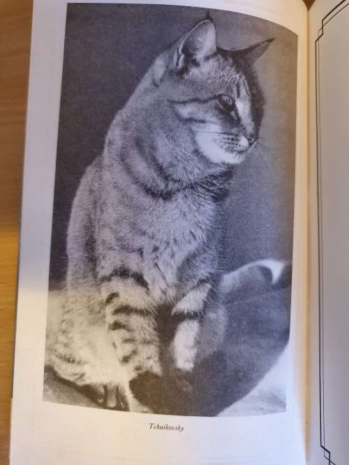 Travels with Tchaikovsky: The Tale of a Cat  By: Ray Hudson (Hardcover)