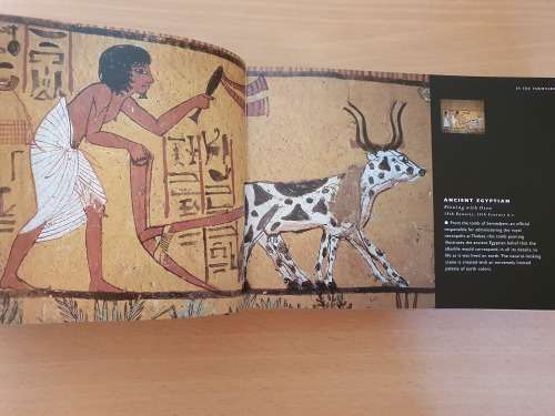 Zoo - Animals in Art (Hardcover) by Edward Lucie-Smith