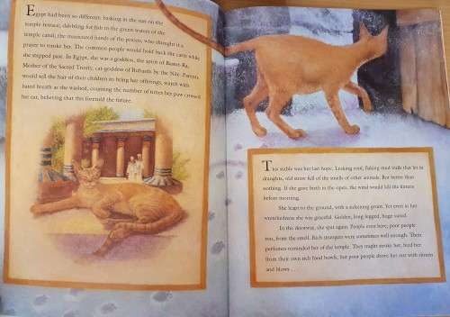 The Witness written by Robert Westall (Paperback)