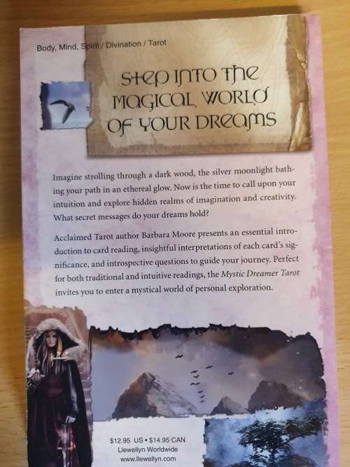 The Dreamer`s Journal by Barbara Moore (Paperback)
