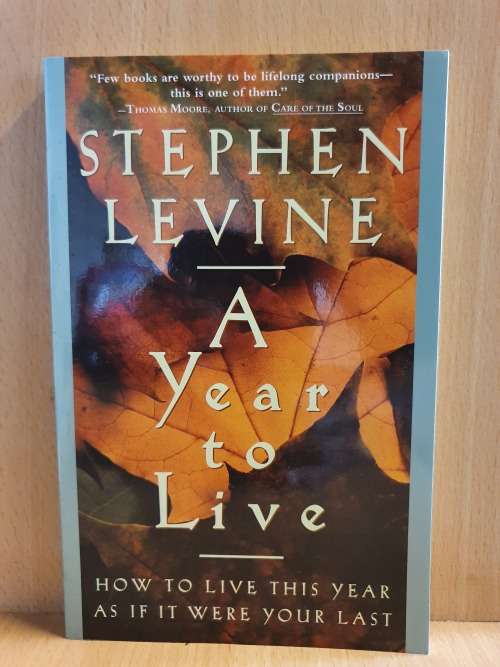 A Year to Live : Stephen Levine (Paperback)