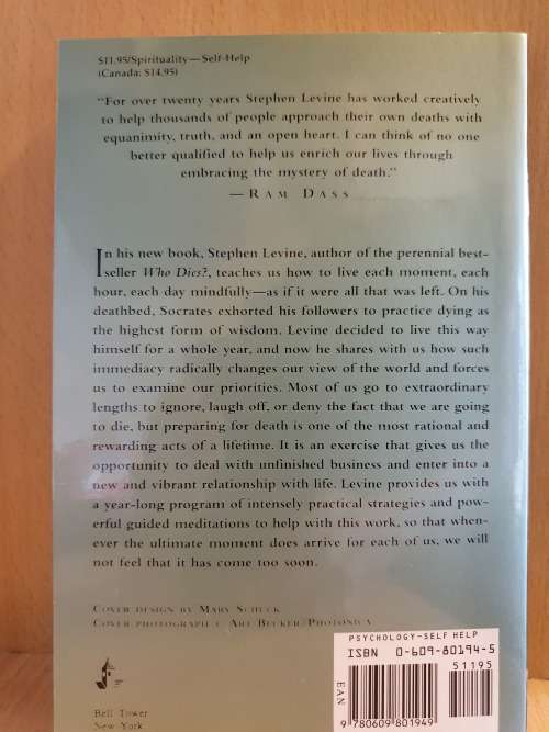 A Year to Live : Stephen Levine (Paperback)