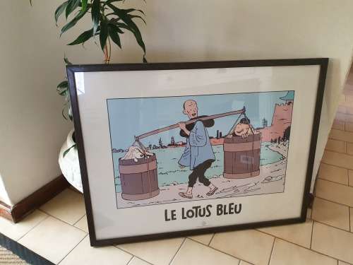 Framed Tintin Print - Le Lotus Bleu