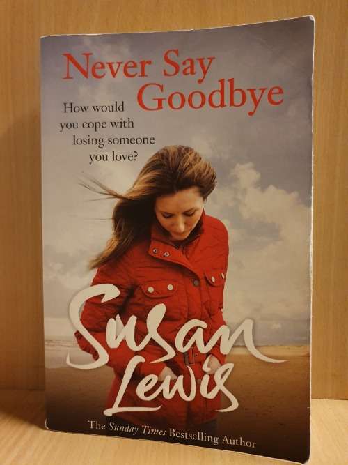 Never Say Goodbye: Susan Lewis (Paperback)