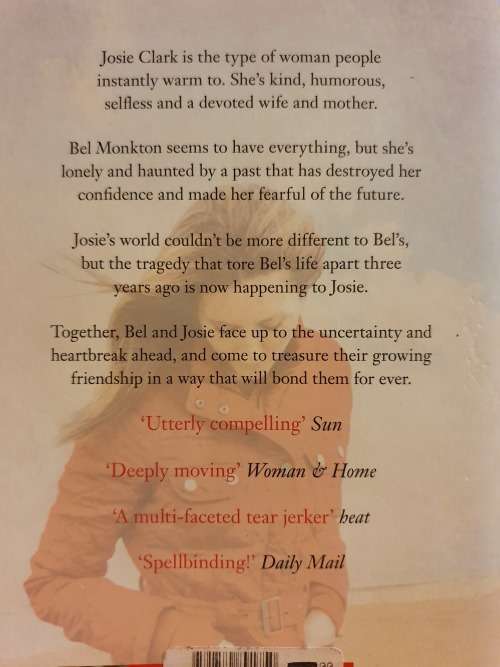 Never Say Goodbye: Susan Lewis (Paperback)