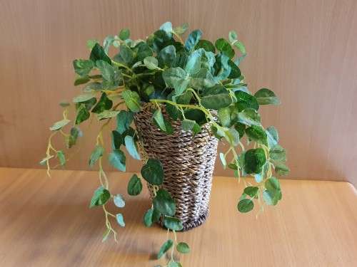 Artificial Plant in a Basket (3 available at R65 each)