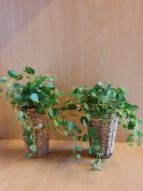 Artificial Plant in a Basket (3 available at R65 each)