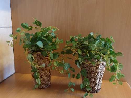 Artificial Plant in a Basket (3 available at R65 each)