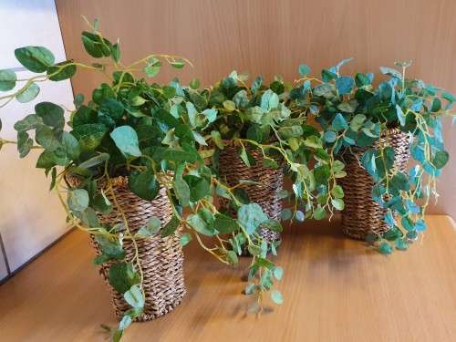 Artificial Plant in a Basket (3 available at R65 each)