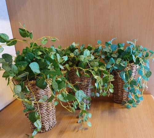 Artificial Plant in a Basket (3 available at R65 each)