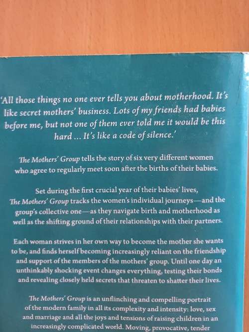 The Mothers` Group by Fiona Higgins (Paperback)