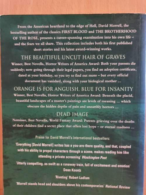 Black Evening: David Morrell (Large Paperback)