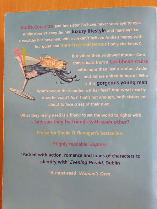 Anyone But Him: Sheila O`Flanagan (Paperback)
