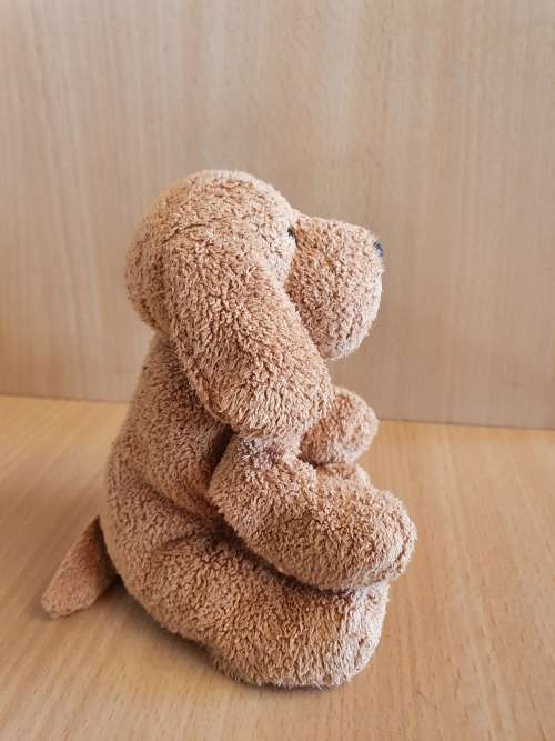 Small Dog Soft Toy