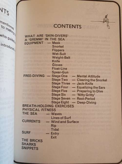 So You Want to Be a Skin Diver : Laurie Plumridge (Paperback)