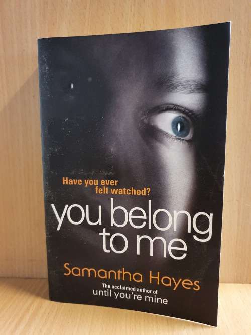 You Belong to Me: Samantha Hayes (Paperback)