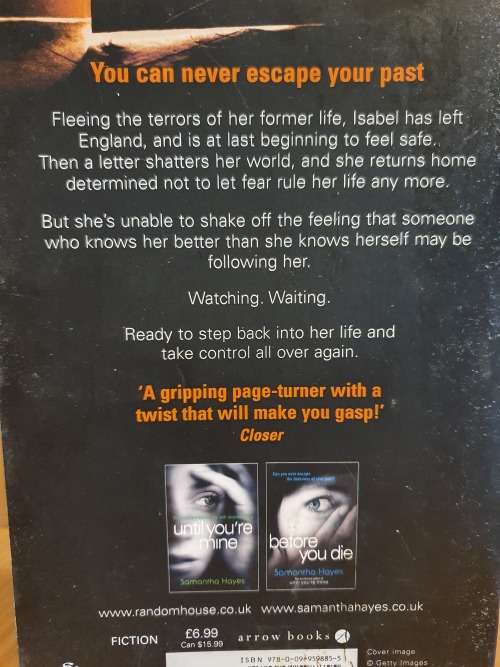You Belong to Me: Samantha Hayes (Paperback)