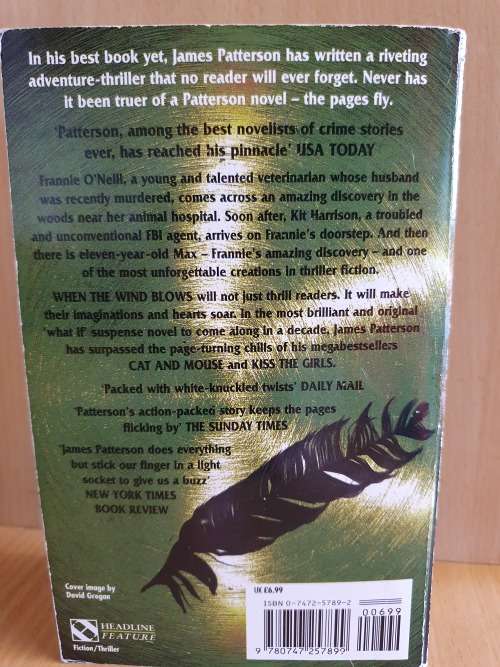 When the Wind Blows: James Patterson (Paperback)
