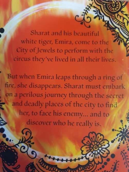Tiger Thief : Michaela Clarke (Paperback)