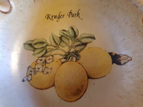 Kruger Park Ashtray - width 13cm