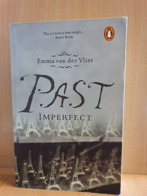 Past Imperfect: Emma van der Vliet (Paperback)