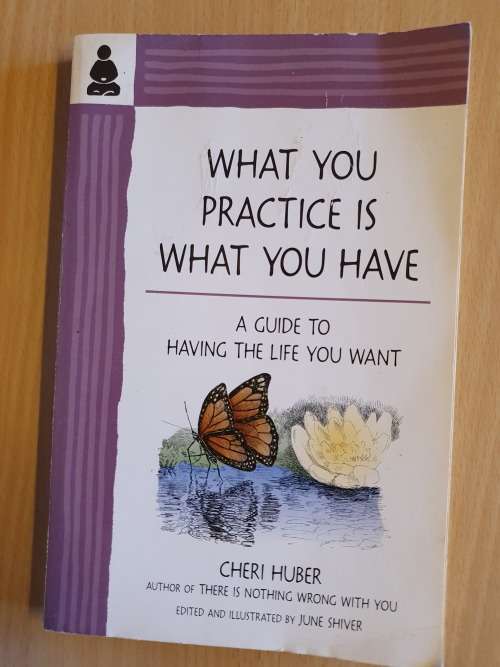 What you Practice is What You Have - A Guide to having the life you want: Cheri Huber (Paperback)