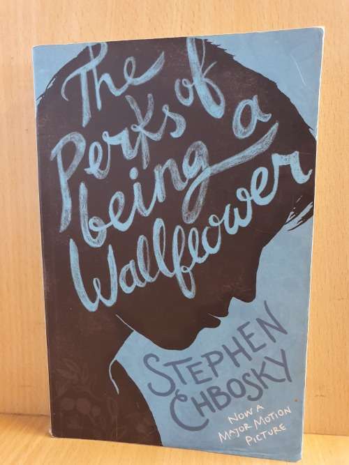 The Perks of Being a Wallflower: Stephen Chbosky (Paperback)