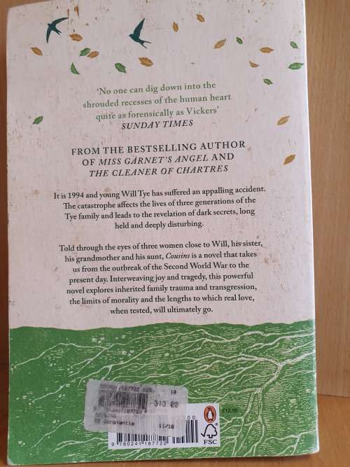 Cousins : Salley Vickers (Paperback)