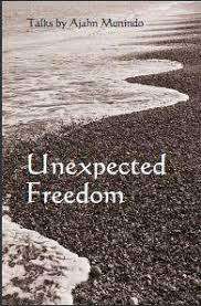 Unexpected Freedom - Talks by Ajahn Munindo (Paperback)