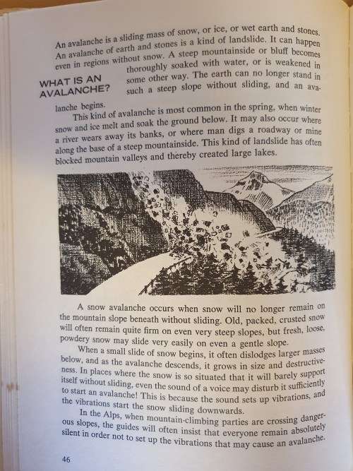 More More More - Tell Me Why By Arkady Leokum (Hardcover)