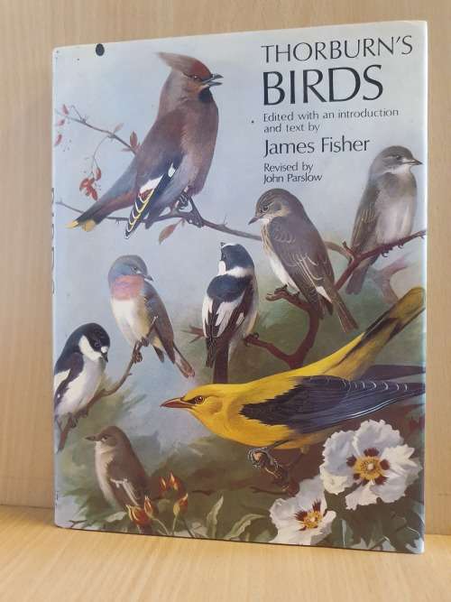 Thornburn`s Birds - Edited with an introduction and text by James Fisher (Hardcover)