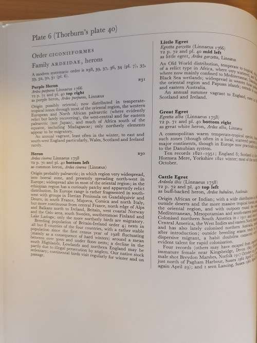 Thornburn`s Birds - Edited with an introduction and text by James Fisher (Hardcover)