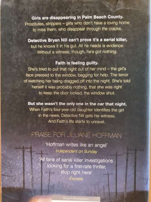 All the Little Pieces: Jilliane Hoffman (Paperback)