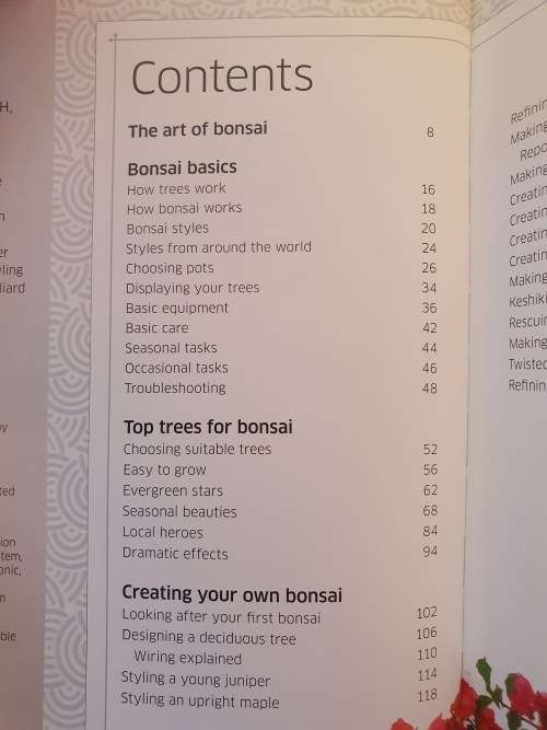 DK - Bonsai - Techniques, Styles, Display Ideas (Hardcover)