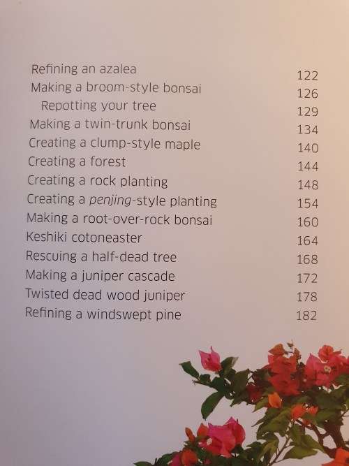 DK - Bonsai - Techniques, Styles, Display Ideas (Hardcover)