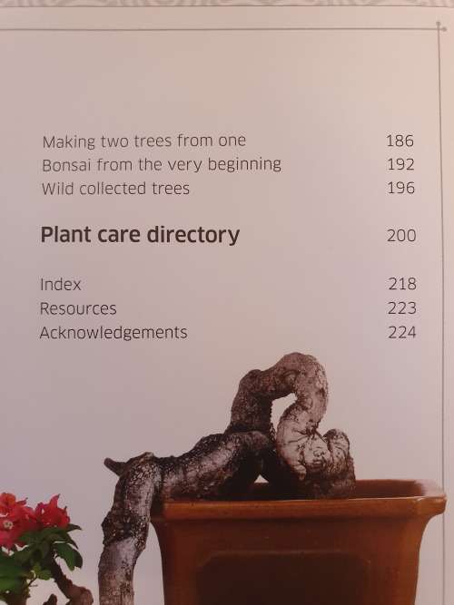 DK - Bonsai - Techniques, Styles, Display Ideas (Hardcover)