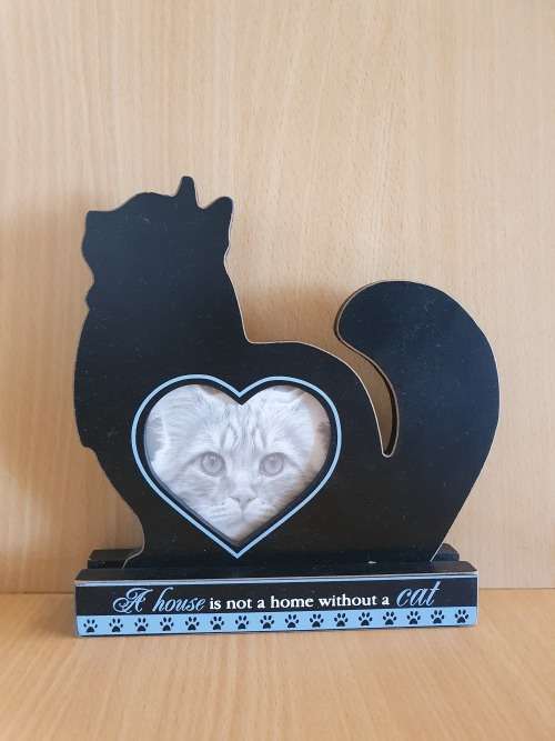Wooden Cat Figurine Photo Frame - `A House is Not a Home without a Cat`