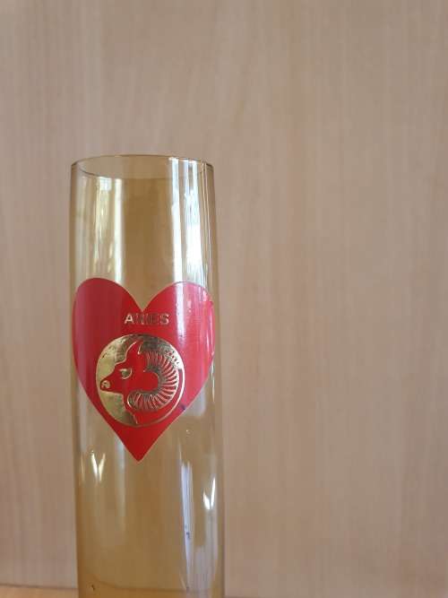 Aries Glass Vase