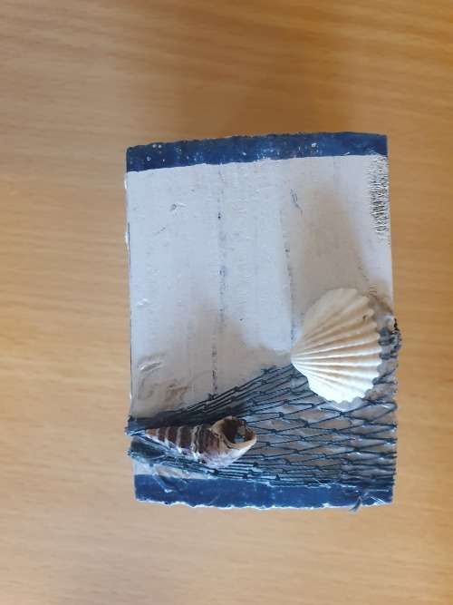 Small Wooden Box with Seashell Detail