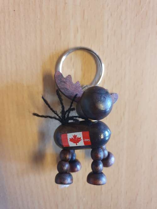 Swiss Keyring/Keychain