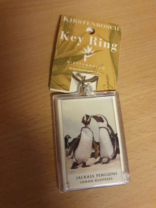 Penguins Keyring/Keychain